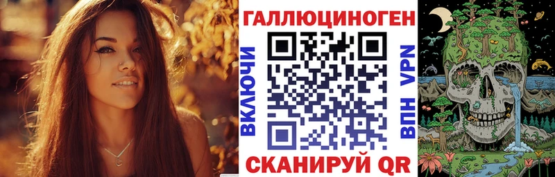 Псилоцибиновые грибы Psilocybine cubensis  дарк нет официальный сайт  Шацк 